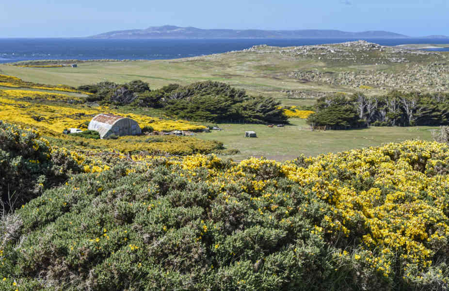 Islas Falkland o Malvinas 065.jpg